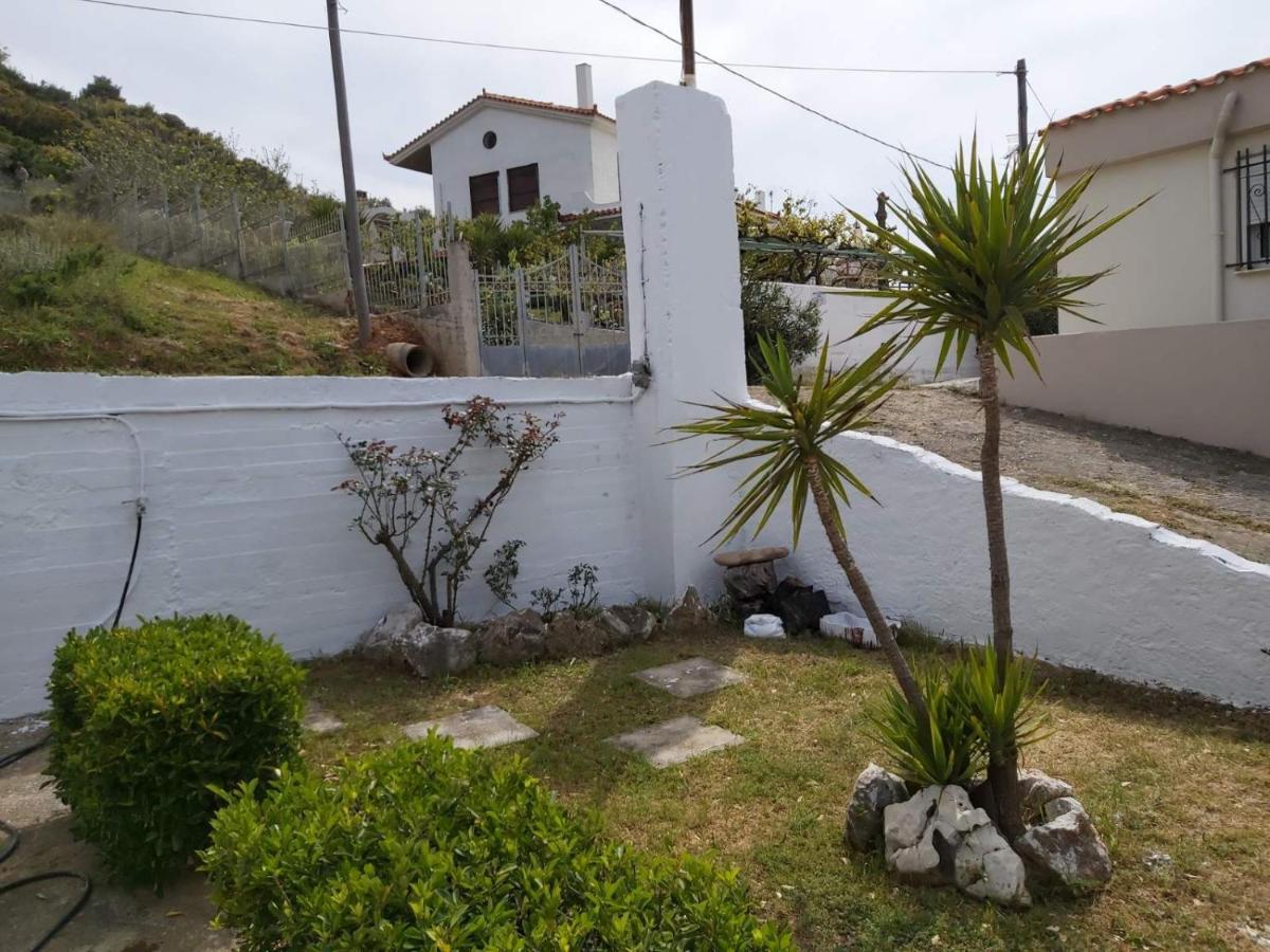 Giannis Stella Apartment Μουρτερή Εξωτερικό φωτογραφία